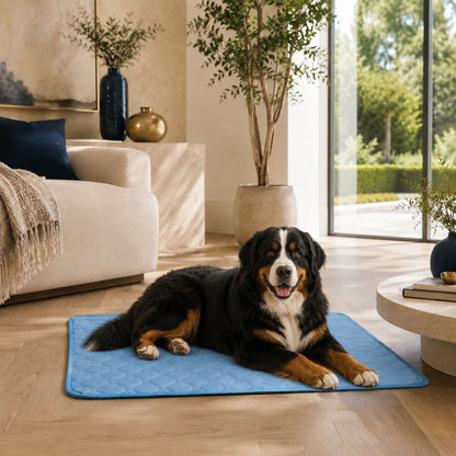 The Chelsea self-cooling gel dog mat by Sir Waggington, six sizes for hot summer days