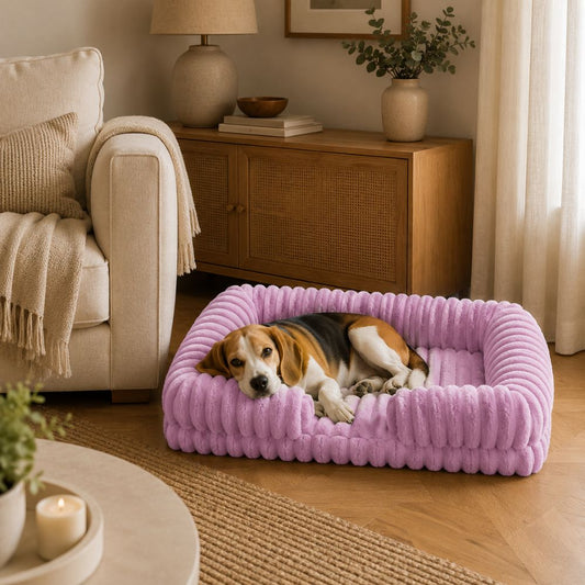Sir Waggington Calming Plush Fluffy Dog Bed in cream — premium British design with memory foam base