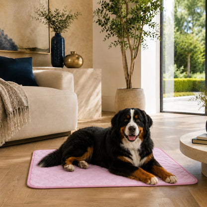 Sir Waggington cooling mat colour range: grey, blue, pink, coffee, light blue, dark grey