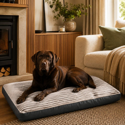 The Kensington Oversized Corduroy Large Dog Bed
