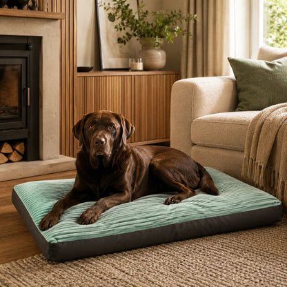 The Kensington Oversized Corduroy Large Dog Bed