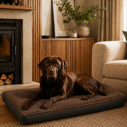 The Kensington Oversized Corduroy Large Dog Bed