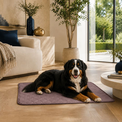 The Chelsea cooling mat by Sir Waggington shown from above with pressure-activated gel surface